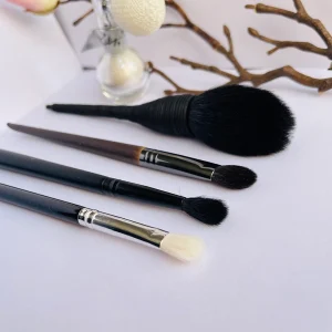 Set de Brochas Profesionales